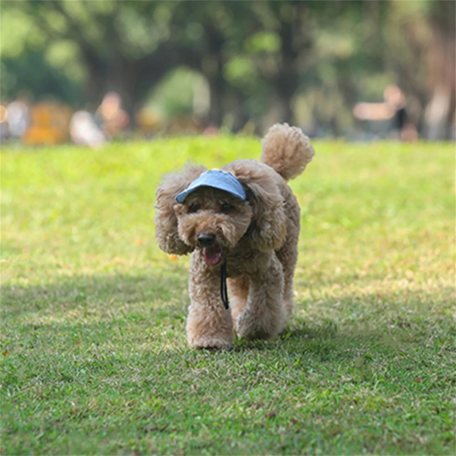 Pet Sun Cap